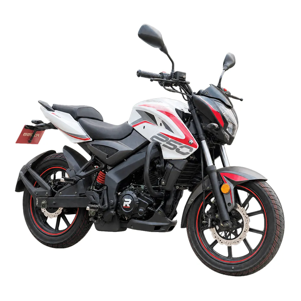 MOTO RYDER SF 250 — miniatura 1