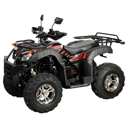 CUATRIMOTO RYDER LION 200