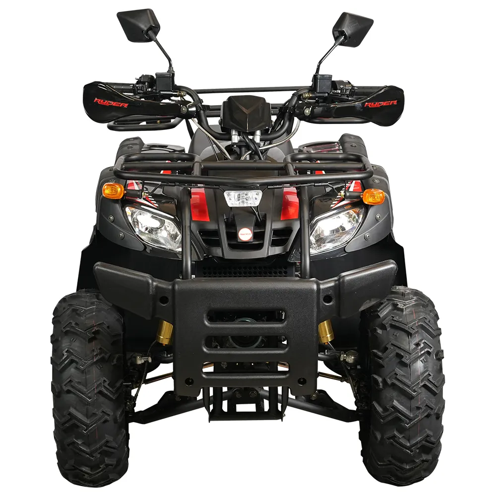 CUATRIMOTO RYDER LION 200 — miniatura 3