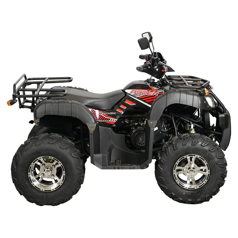CUATRIMOTO RYDER LION 200 — imagen 4